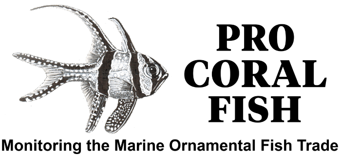 Pro Coral Fish